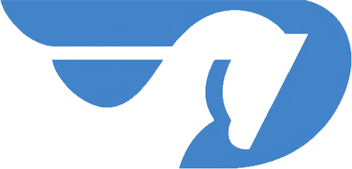 Dallas White Rock Marathons Dallas White Rock Marathons